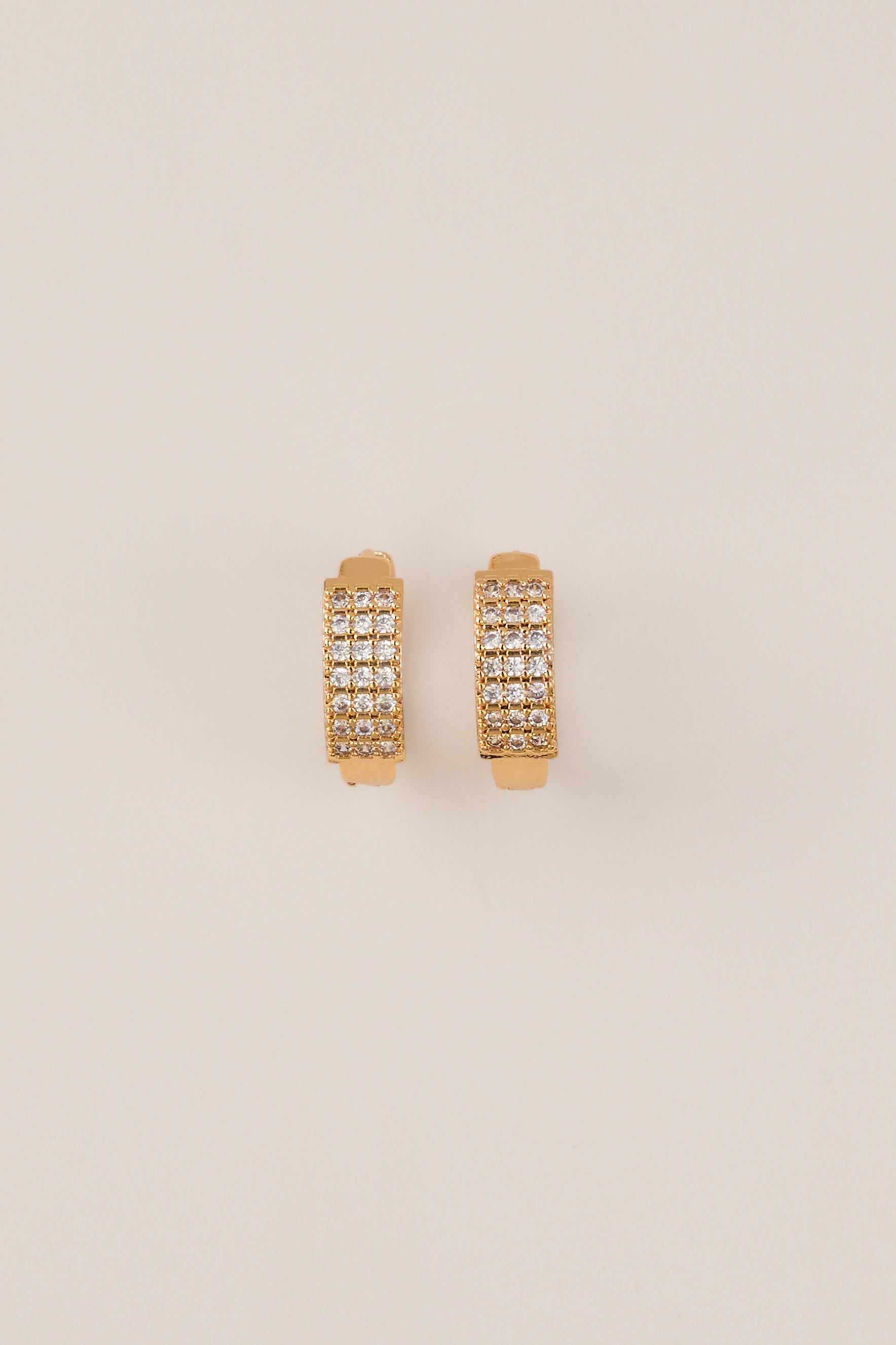 22 Carat Gold Plated Stone Hoop Earrings
