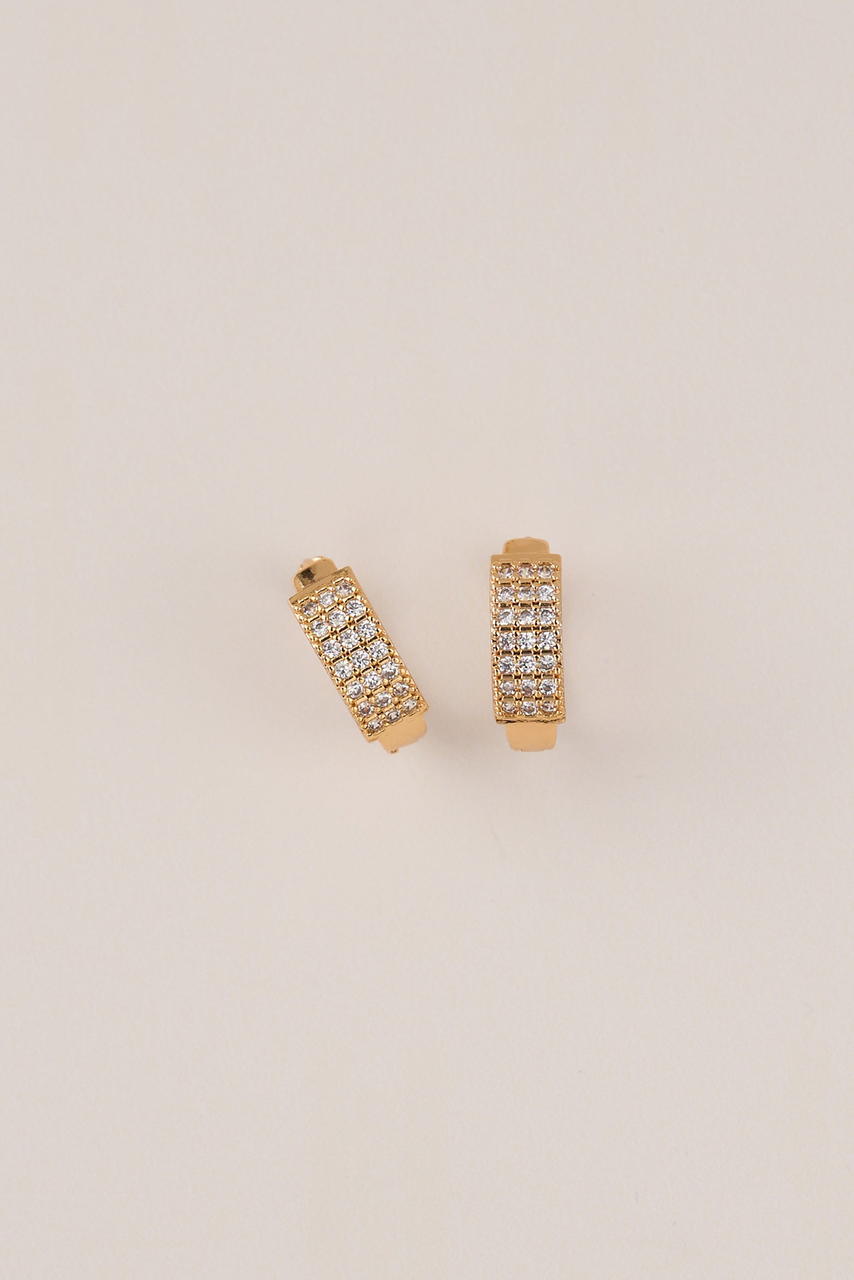 22 Carat Gold Plated Stone Hoop Earrings