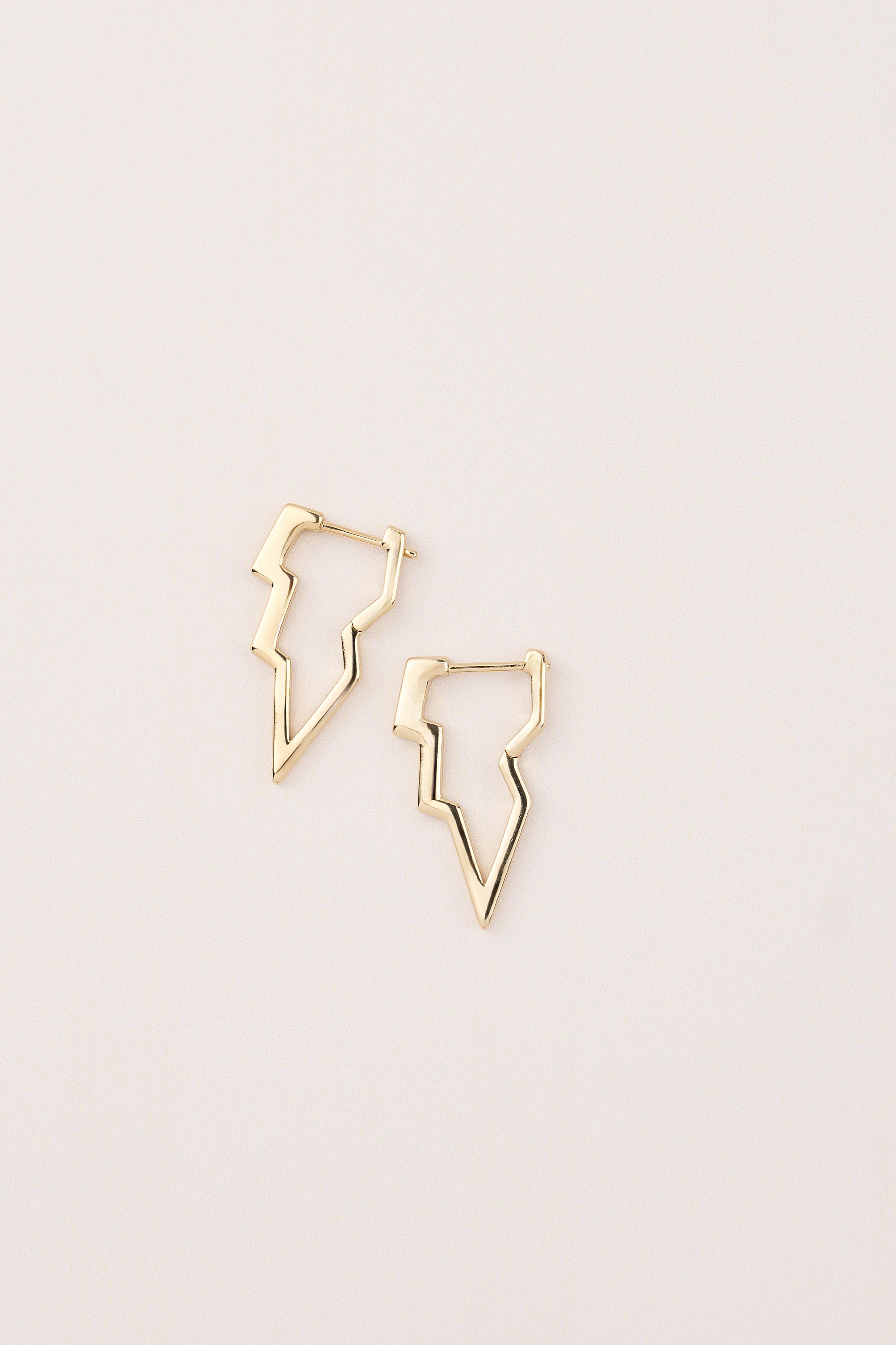 Xuping Wing Earring
