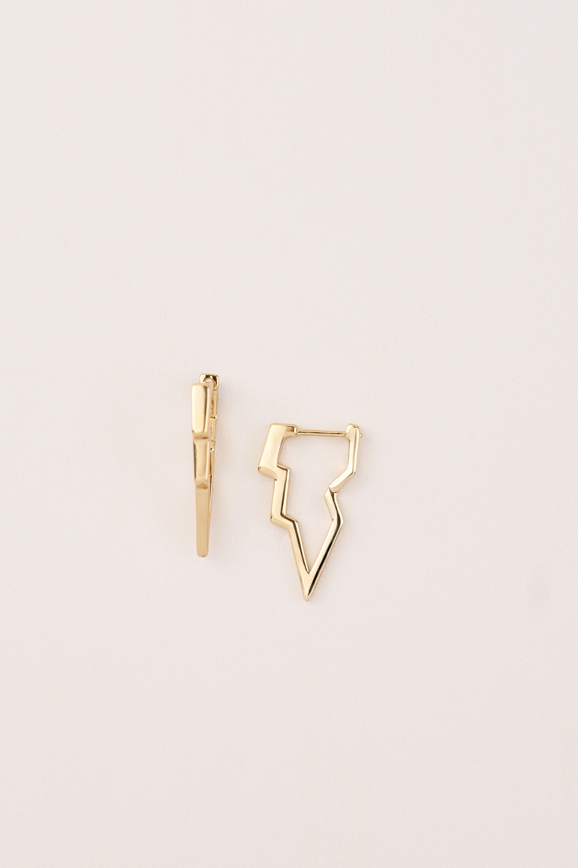 Xuping Wing Earring